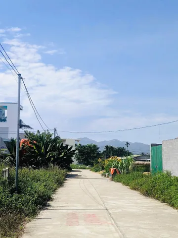 Bán Đất 115.5m2 có sẵn 115.5 m2 thổ cư giá 1.1 tỷ tại Đường Gò Đại Xã Diên Sơn Huyện Diên Khánh Khánh Hòa