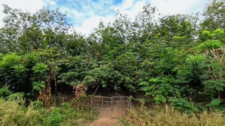 🔥 BÁN LÔ ĐẤT DIỆN TÍCH SIÊU LỚN – NHA BÍCH, CHƠN THÀNH 🔥