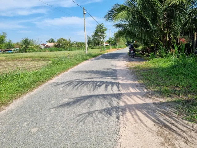 (S355) Đất 1/ Trương Thị Kiện, xã Thái Mỹ, dt 186m2, giá 1 tỷ 500
