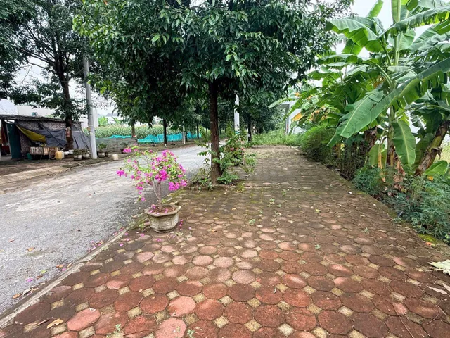 Bán Đất 75m2 có sẵn 75 m2 thổ cư giá 4 tỷ tại - Chọn - Xã Thạch Hoà Huyện Thạch Thất Hà Nội