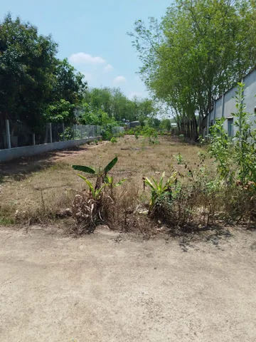 Bán gấp lô đất vườn 1073m2 giá 380tr ngay ubnd An Linh