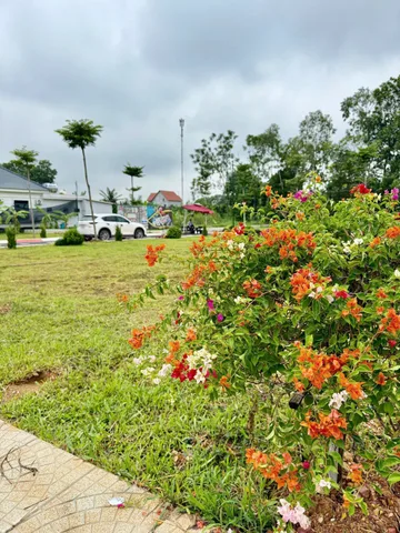 Bán Đất 100m2 có sẵn 100 m2 thổ cư giá 3 tỷ tại - Chọn - Xã Cổ Đông Thị xã Sơn Tây Hà Nội