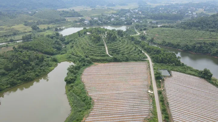 Bán Đất 752m2 có sẵn 100 m2 thổ cư giá 1.9 tỷ tại - Chọn - Xã Cao Dương Huyện Lương Sơn Hòa Bình