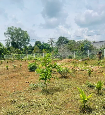 Bán Đất 1000.3m2 giá 790 triệu tại Xã Hòa Thuận Thành phố Buôn Ma Thuột Đắk Lắk