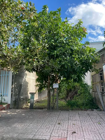 Bán Đất 144.4m2 có sẵn 144.4 m2 thổ cư giá 1.2 tỷ tại - Chọn - Xã An Nhơn Huyện Châu Thành Đồng Tháp