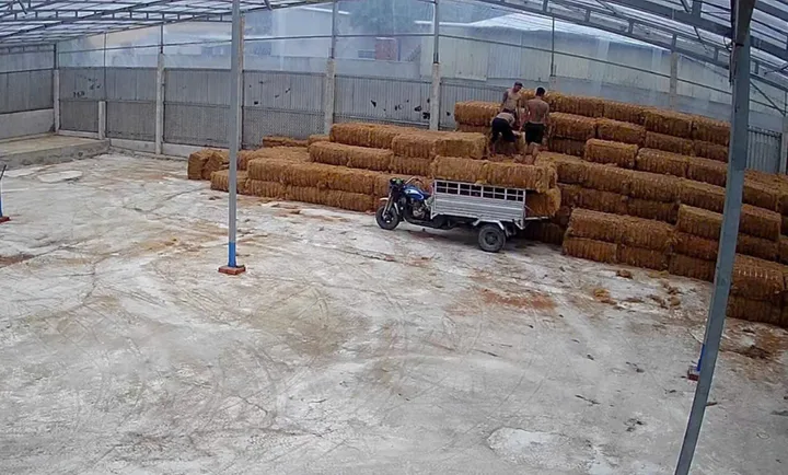 Cho thuê Kho, nhà xưởng 2500m2 giá 25 triệu tại - Chọn - Xã An Thạnh Huyện Mỏ Cày Nam Bến Tre