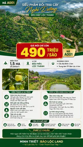 [A001] 490 TRIỆU/SÀO - 1,5HA VƯỜN SẦU RIÊNG ĐỒI MÂY LỘC THÀNH