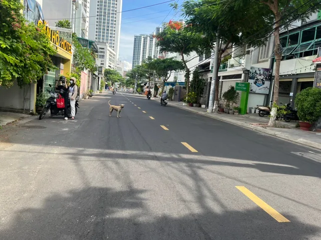 Nhà mặt tiền Dương Hiến Quyền, Nha Trang, 206m2 ngang hơn 7m gần biển rất đẹp