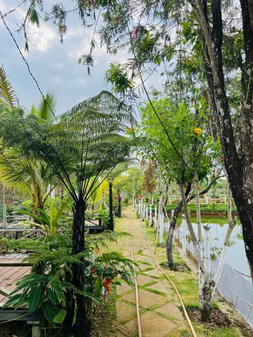 🚨 chủ hộ cần tiền bán gấp lô đất đẹp tại bảo lộc