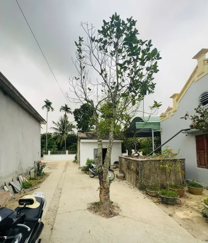 08.2026.Bán Đất 40m2 có giá 880 triệu tại Hoa Động Thuỷ Nguyên Hải Phòng. liên hệ 0362558882