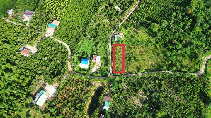 Bán Đất 500.2m2 giá 320 triệu tại Xã Phú Lộc Huyện Krông Năng Đắk Lắk