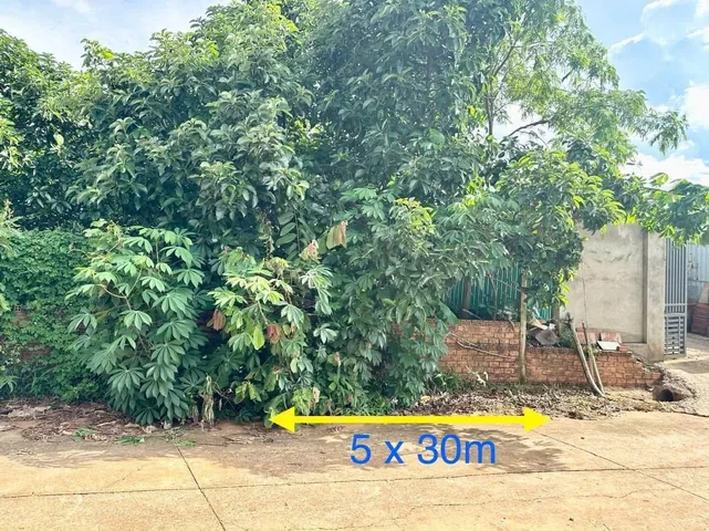 Bán Đất 148.2m2 có sẵn 60 m2 thổ cư giá 1.2 tỷ tại Xã Cư ÊBur Thành phố Buôn Ma Thuột Đắk Lắk