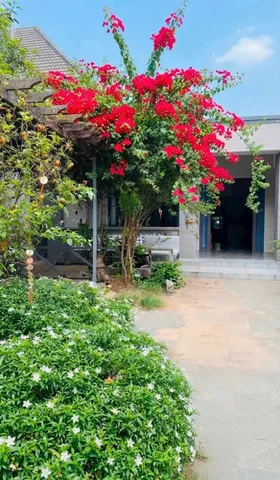 CHO THUÊ NHÀ PHỐ 300 M2 - 4 PHÒNG NGỦ - GIÁ 9 TRIỆU - MỸ THẠNH AN, TP.BẾN TRE