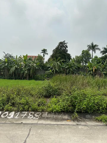 Bán Đất 120m2 có sẵn 120 m2 thổ cư giá 4.8 tỷ tại Đường 30 Tháng 6 Xã Ninh Tiến Thành phố Ninh Bình Ninh Bình