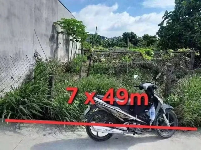 Đất 7 x 49m (340m2 full thổ) - Giá : 2 tỷ 500 tr. Gần ngã 3 Mỹ Hạnh - Giáp Hóc Môn