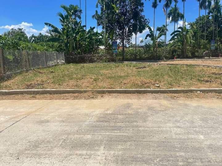 Bán Đất 600m2 có sẵn 150 m2 thổ cư giá 699 triệu tại - Chọn - - Chọn - Xã Đại Lộc Đà Nẵng