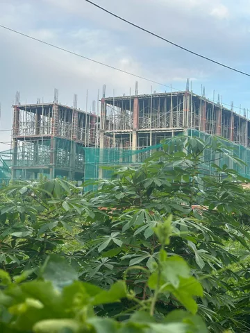Bán đất 582m2, full thổ -  Thạnh Xuân 31, Q.12 - Đường xe hơi - Giá 19,5 tỷ