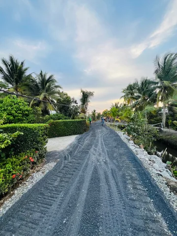 Bán Đất 500m2 giá 490 triệu tại Đường ĐT 816 Xã Thạnh Hòa Huyện Bến Lức Long An