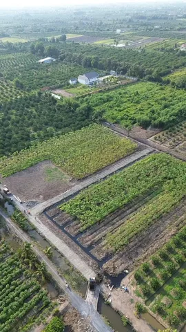 Bán Đất 500m2 giá 490 triệu tại Đường ĐT 816 Xã Thạnh Hòa Huyện Bến Lức Long An
