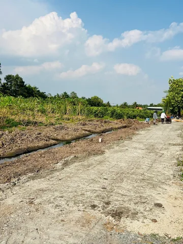 Bán Đất 500m2 giá 490 triệu tại Đường ĐT 816 Xã Thạnh Hòa Huyện Bến Lức Long An