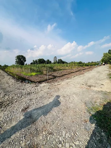 Bán Đất 500m2 giá 490 triệu tại Đường ĐT 816 Xã Thạnh Hòa Huyện Bến Lức Long An