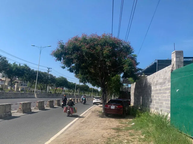 Bán Đất 1006m2 giá 17 tỷ tại Đường Nguyễn Tất Thành Xã Phước Đồng Thành phố Nha Trang Khánh Hòa