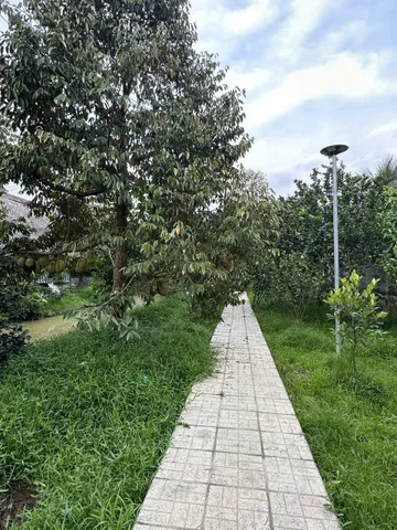 Bán Đất 5600m2 có sẵn 200 m2 thổ cư giá 10 tỷ tại - Chọn - Xã Phú Đức Huyện Châu Thành Bến Tre