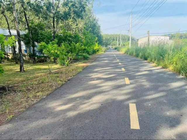 Bán Đất 500m2 có sẵn 200 m2 thổ cư giá 450 triệu tại Thị xã Chơn Thành Bình Phước! Mặt tiền đường lớn 8m, dân cư đông đúc, Thích hợp cho AC xây ở, xây trọ, mua bán