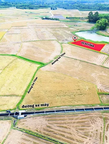 Bán Đất 1143m2 giá 205 triệu tại Xã Suối Hiệp Huyện Diên Khánh Khánh Hòa