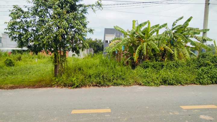 Bán Đất mặt tiền đường nhựa 114m2 có sẵn 114 m2 thổ cư giá 1.65 tỷ tại Xã Mỹ Hạnh Bắc Huyện Đức Hòa Long An