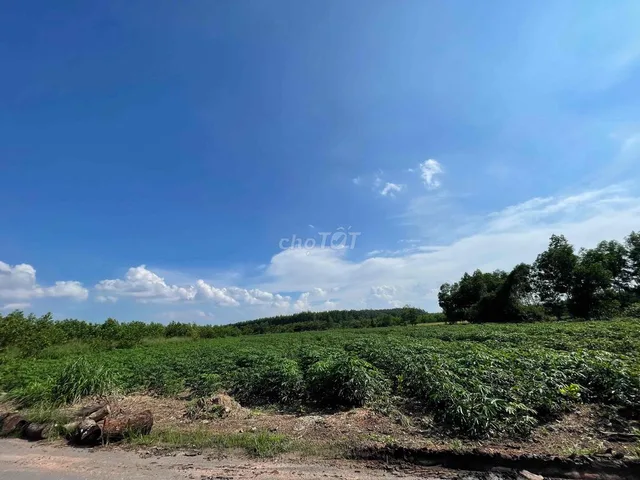 Bán Đất 9658m2 giá 20 tỷ tại ấp 4, xã An Viễn, thành phố Đồng Nai.