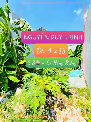 Bán Đất 61m2 có sẵn 61 m2 thổ cư giá 3.8 tỷ tại Đường Nguyễn Duy Trinh Phường Long Trường Quận 9 TP. Hồ Chí Minh