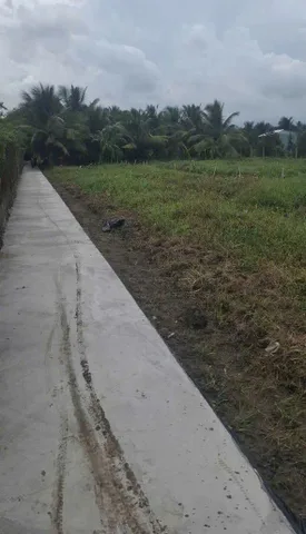 Bán Đất 100m2 có sẵn 50m2 thổ cư giá 280 triệu (thương lượng) Phường Nhị Quý, Đồng Tháp mới, cách UBND Phường Nhị Quý 600m