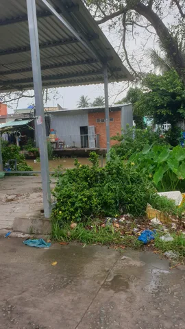 Bán ĐẤT THỔ CƯ ĐƯỜNG BÙI HỮU NGHĨA SAU CHỢ MIỄU ÔNG LONG TUYỀN
