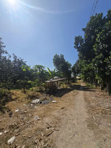 ĐẤT VƯỜN BƯỞI HÒA THÀNH - TÂY NINH (17.858 M²) 5.3 TỶ THU NHẬP 1 TỶ/NĂM