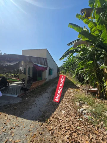 Giảm nửa tiền, bán gấp gần 2 mẫu tại Đường Nguyễn Văn Linh Xã Trường Đông Huyện Hòa Thành