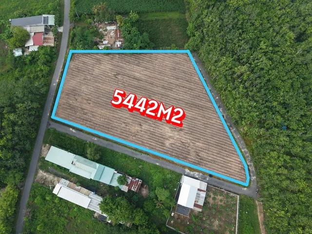 Bán đất 3 mặt tiền đường Đào Thi Thơm phù hơp phân lô xây kho xưởng