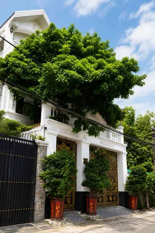 🔥 BIỆT THỰ 4 TẦNG – 170M² – GÒ DẦU – HẺM THÔNG Ô TÔ – GẦN GA T3