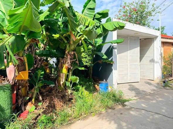 Bán Đất 110m2 có sẵn 60 m2 thổ cư giá 3.4 tỷ tại - Chọn - Phường Vĩnh Phú Thị xã Thuận An Bình Dương