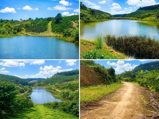 0766.52.1368 ĐẤT VIEW HỒ – ĐƯỜNG BÊ TÔNG SÁT ĐẤT 🔥💥 Diện tích 5,4 sào – thực tế sử dụng gần 7 sào