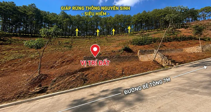 Bán Đất 487m2 có sẵn 364 m2 thổ cư giá 1.48 tỷ tại - Chọn - Thị trấn Nam Ban Huyện Lâm Hà Lâm Đồng