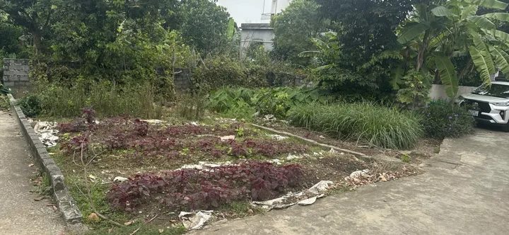08.2026.Bán Đất 60m2 có giá 1.2 tỷ tại Đồng Thái An Dương Hải Phòng. liên hệ 0362558882