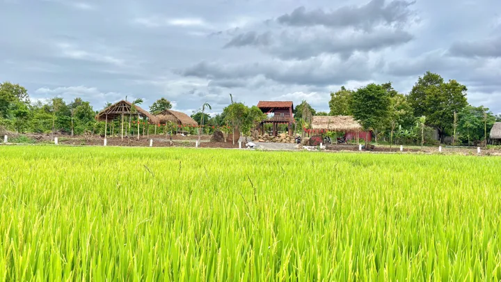 Bán Đất
View cánh đồng không khí trong lành mát mẻ- Chọn - Xã Hòa Phú Đắk Lắk