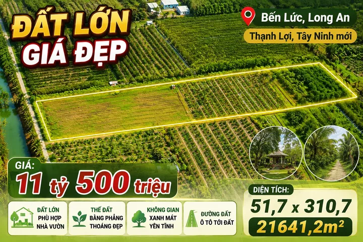Bán bất động sản toạ lạc tại Xã Thạnh Lợi, Huyện Bến Lức, Tỉnh Long An