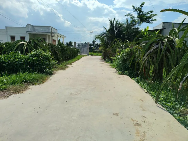 Bán Đất 300m2 có sẵn 300 m2 thổ cư giá 1.17 tỷ tại Thôn Phú Mỹ Xã Hàm Mỹ Huyện Hàm Thuận Nam Bình Thuận