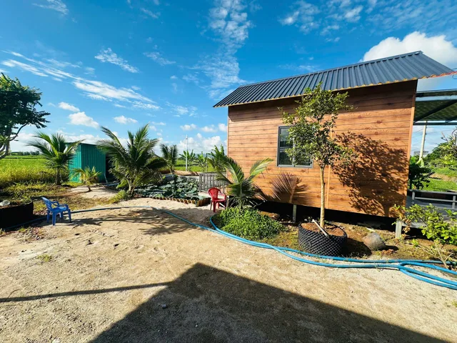 HÀNG HIẾM TAM LONG – 136M² ĐẤT VƯỜN – NGANG 12M – MẶT TIỀN NHỰA GIÁ CHỈ 1 TỶ 3