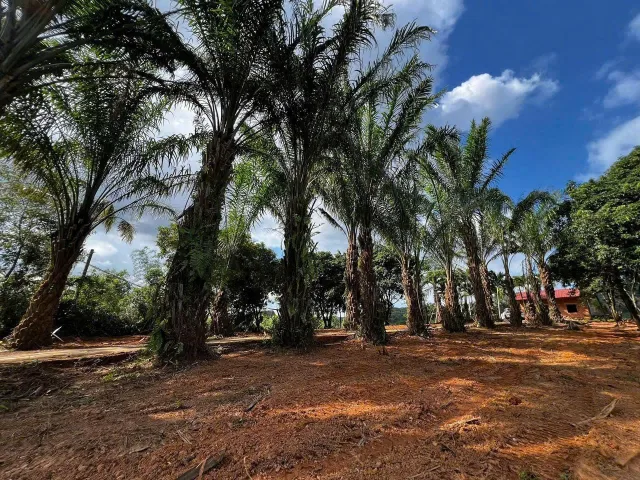Bán lô đất vườn Thôn Thạch Nham Đông 📌📌📌Làm việc trực tiếp giá tốt !!!