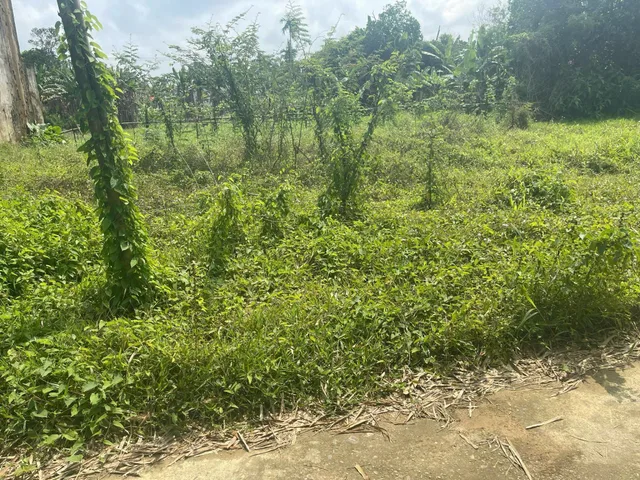 Bán lô đất mặt tiền Nguyễn Bỉnh Khiêm 📌📌📌Làm việc trực tiếp giá tốt !!!
