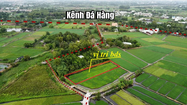 Bán Đất 1222m2 có sẵn 300 m2 thổ cư giá 5.6 tỷ tại Đường Bình Mỹ Xã Bình Mỹ Huyện Củ Chi TP. Hồ Chí Minh