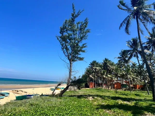 Bán 1300m2 view biển mặt tiền Nguyễn Cơ Thạch, Mũi Né giá tốt